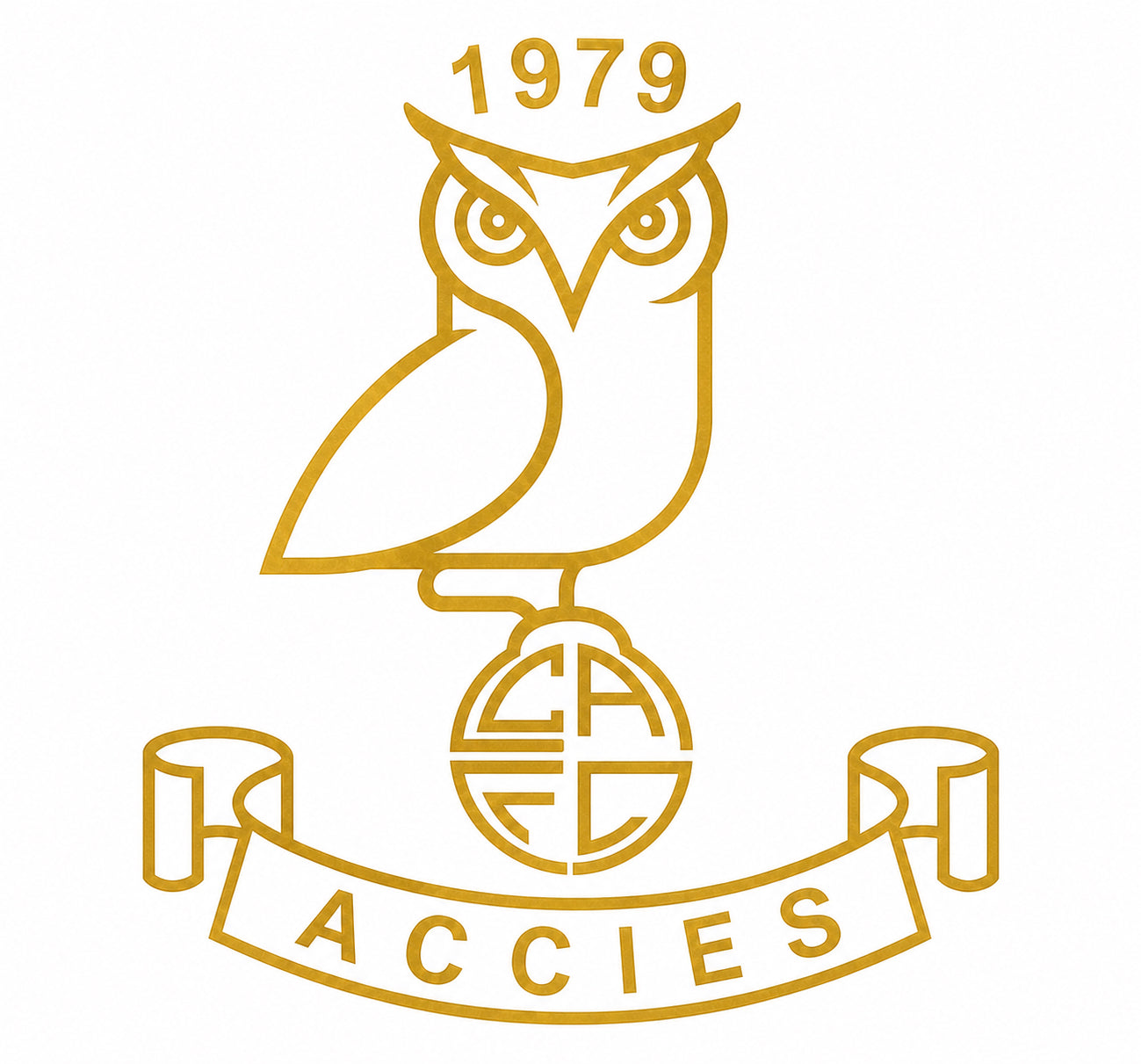 Cardiff Academicals FC
