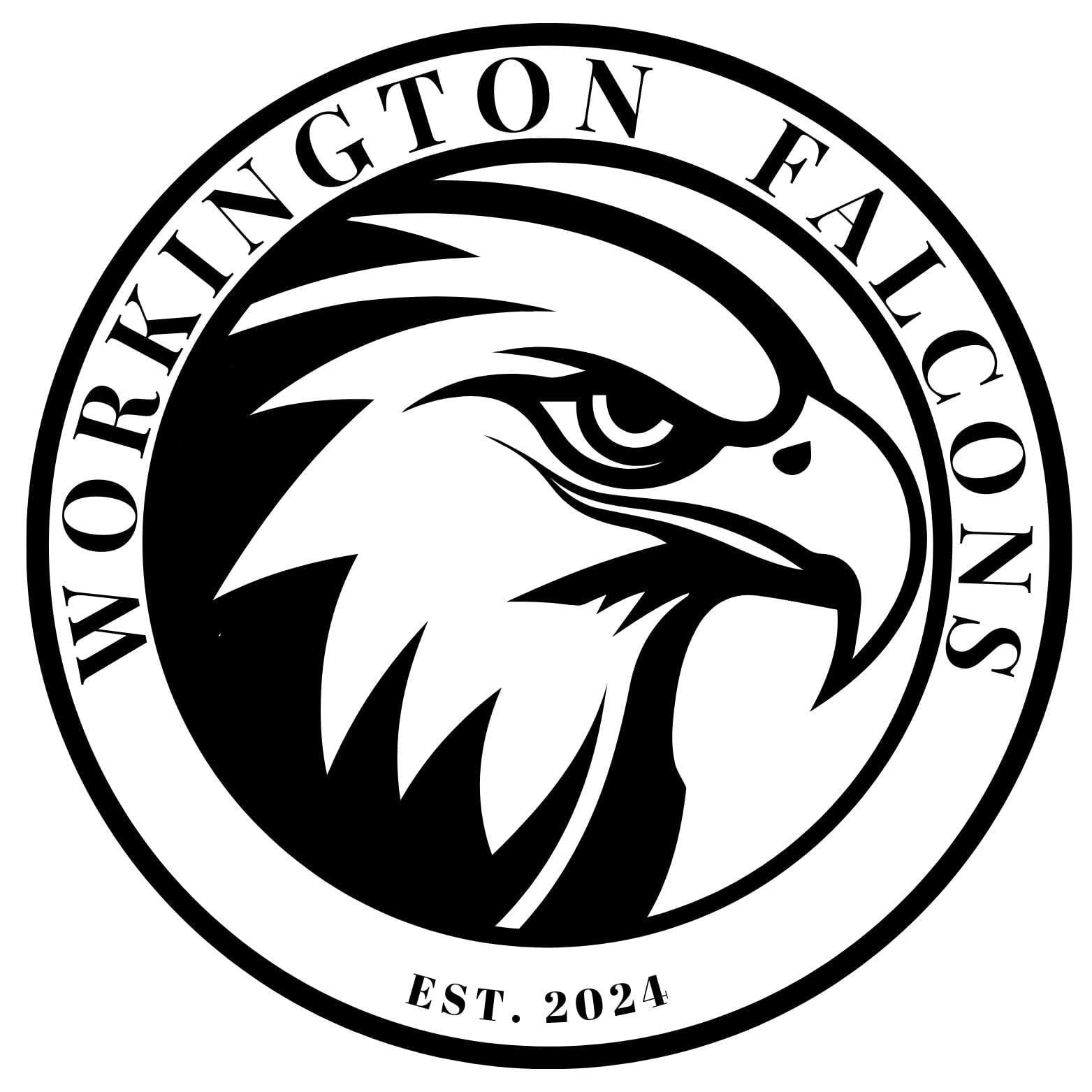 Workington Falcons FC