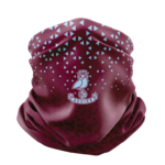 Cardiff Academicals FC TRAINING SNOOD